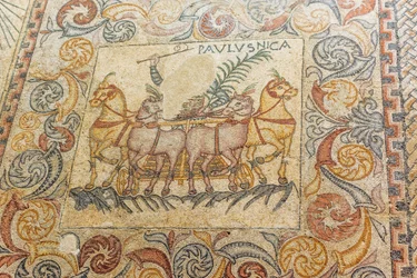 Mosaici che raffigurano un auriga che guida quattro cavalli